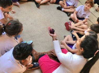 Neuropsicopedagogia: a nova base da educação moderna transforma o ensino infantil