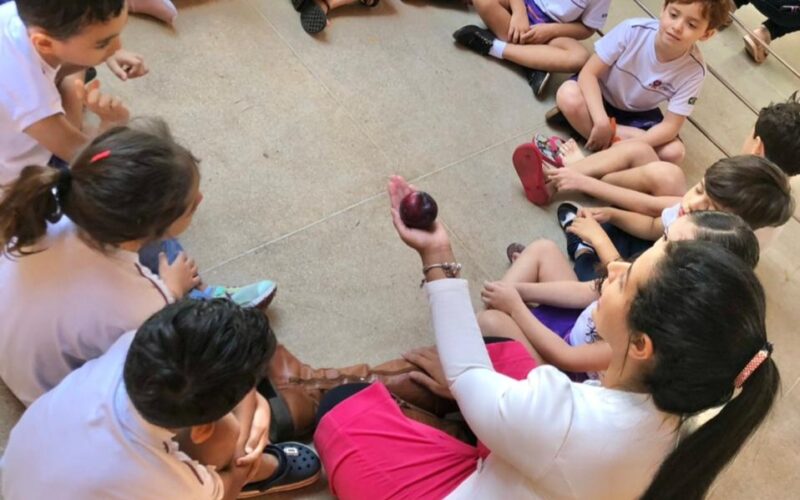 Neuropsicopedagogia: a nova base da educação moderna transforma o ensino infantil
